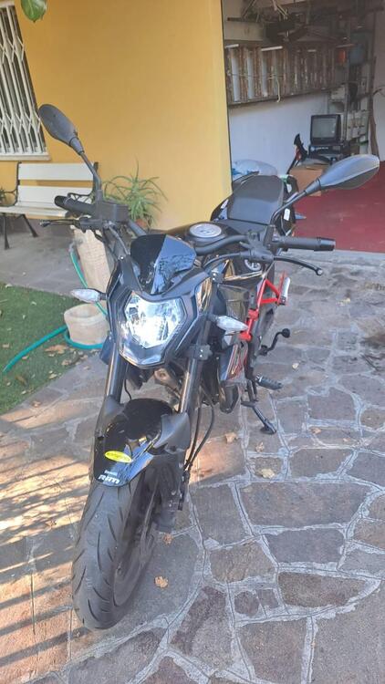 Benelli BN 125 (2021 - 25) (4)