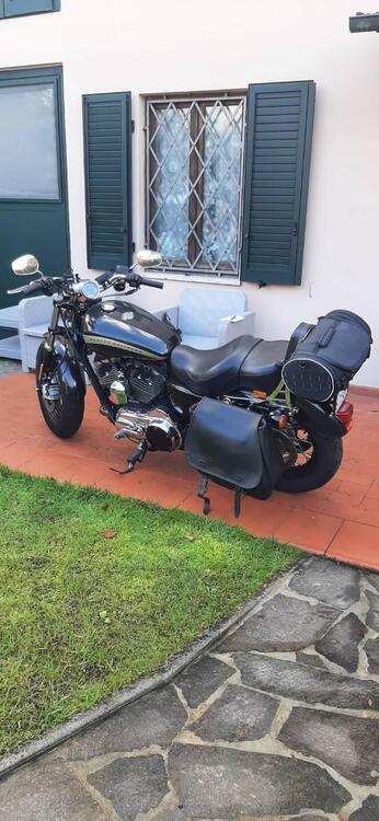 Harley-Davidson 1200 Custom (2017) - XL 1200C (2)