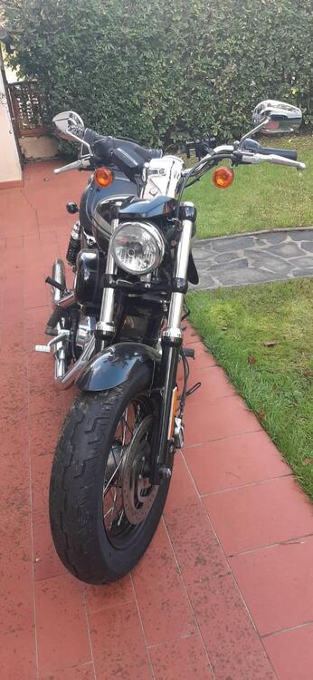 Harley-Davidson 1200 Custom (2017) - XL 1200C (5)