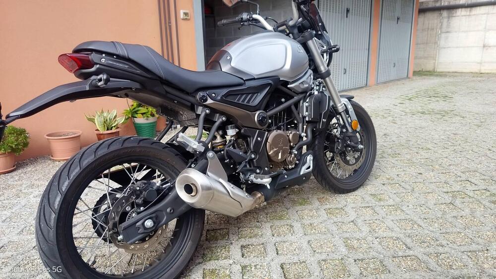 Voge Trofeo 300ACX Scrambler (2021 - 25) (2)