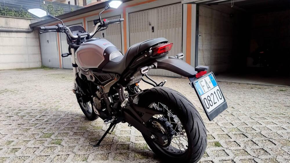 Voge Trofeo 300ACX Scrambler (2021 - 25) (4)