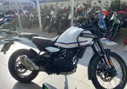 Royal Enfield Himalayan 450 (2024 - 25) usata