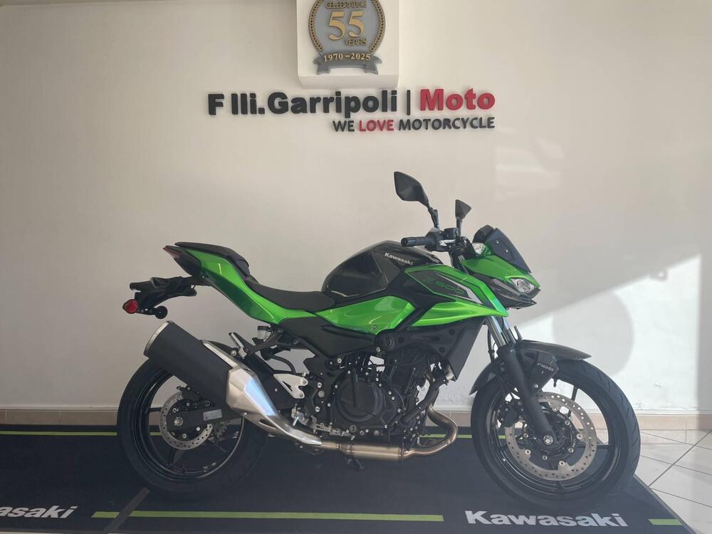 Kawasaki Z 500 (2024 - 26) (2)