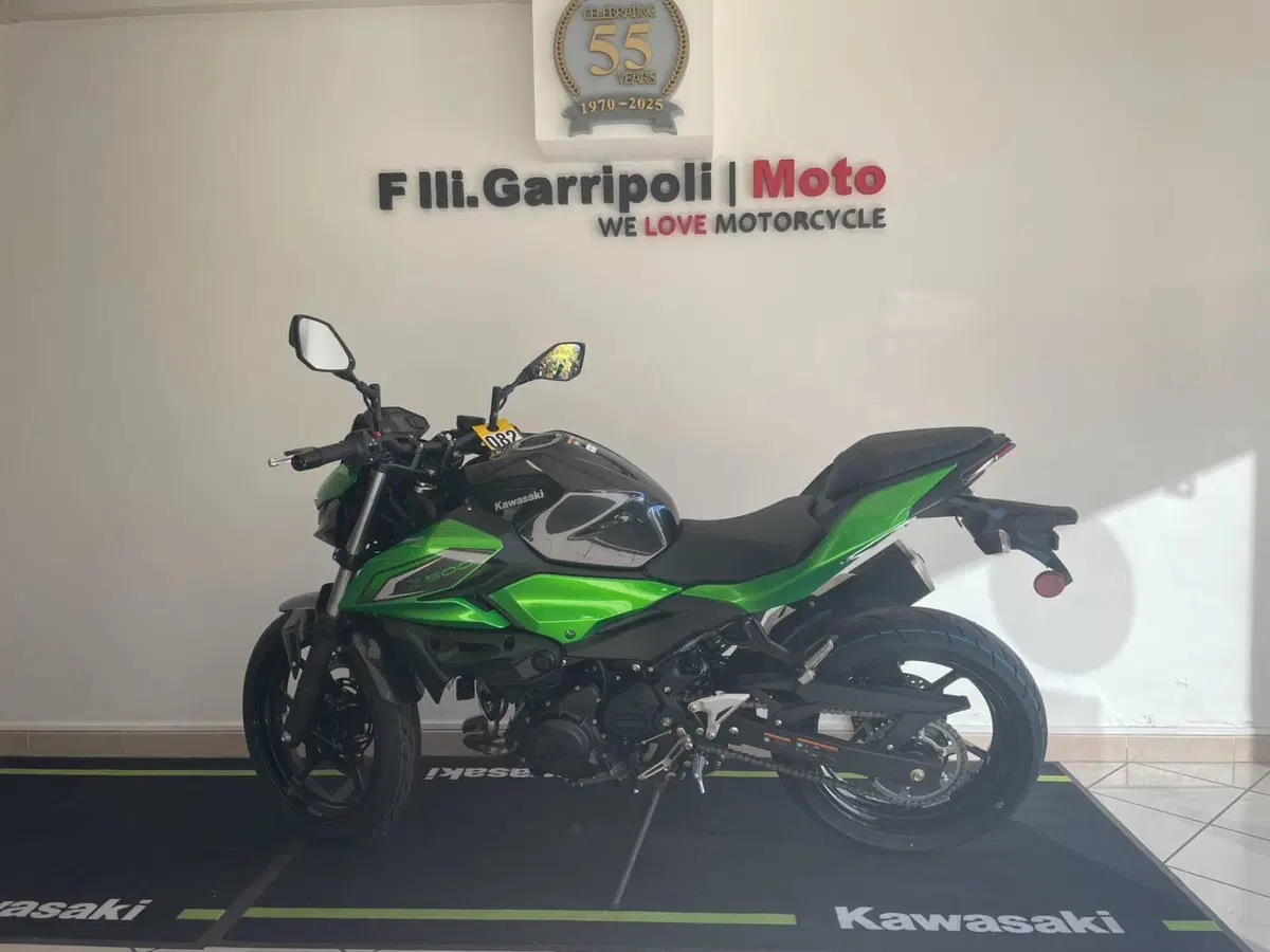 Kawasaki Z 500 (2024 - 26)