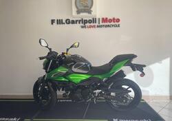 Kawasaki Z 500 (2024 - 26) nuova