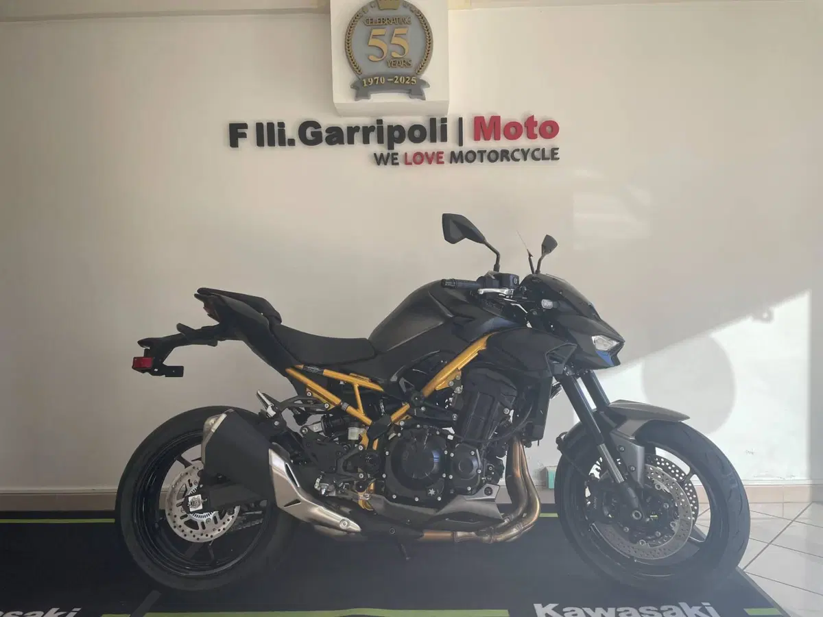 Kawasaki Z 900 (2025 - 26) (2)