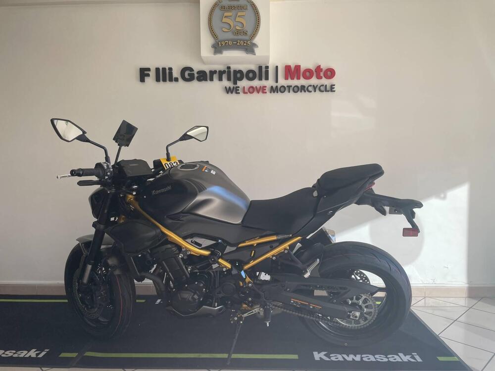 Kawasaki Z 900 (2025 - 26)