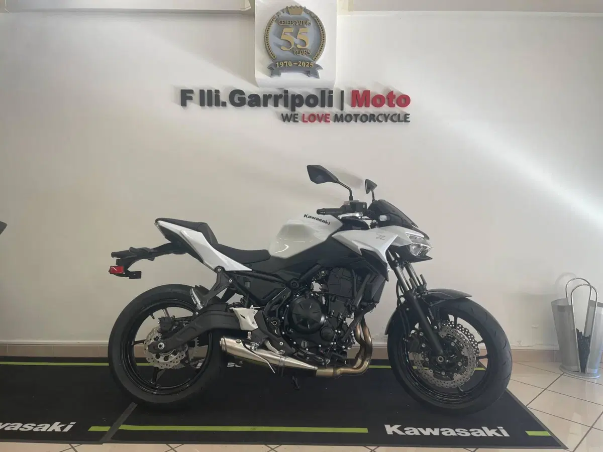 Kawasaki Z 650 (2025 - 26) (2)
