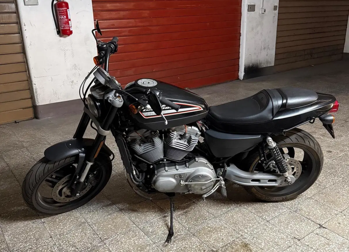 Harley-Davidson 1200 XR (2009 - 12) (3)