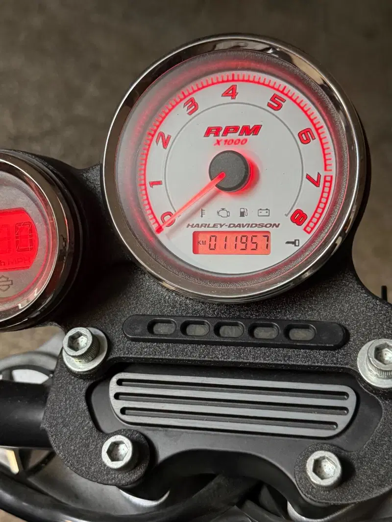 Harley-Davidson 1200 XR (2009 - 12) (5)