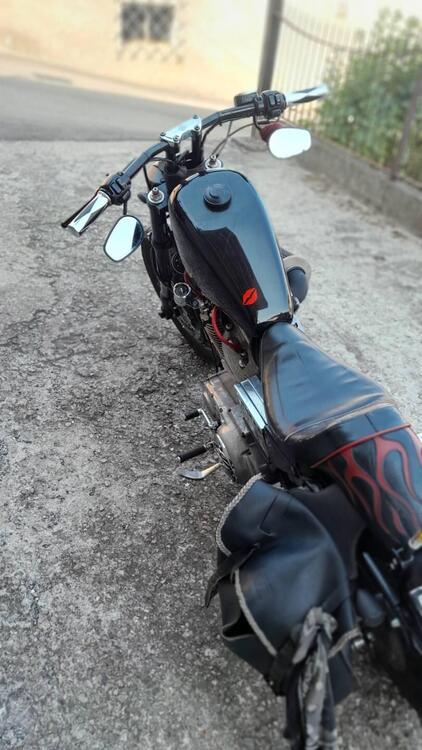 Harley-Davidson Sportster 883 xl low (4)