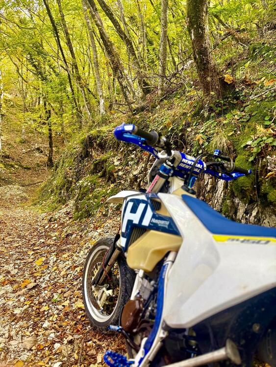 Husqvarna FE 450 (2018) (4)