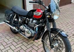 Triumph Bonneville T100 (2001 - 07) usata