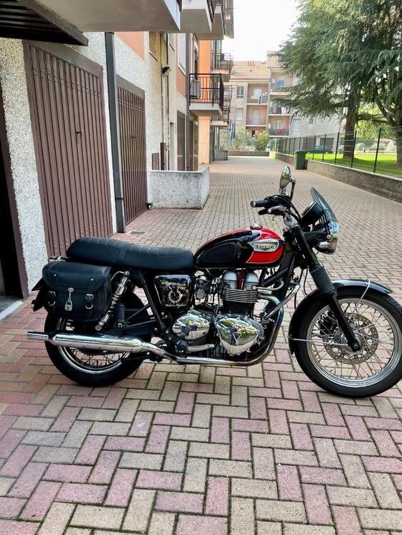 Triumph Bonneville T100 (2001 - 07) (2)