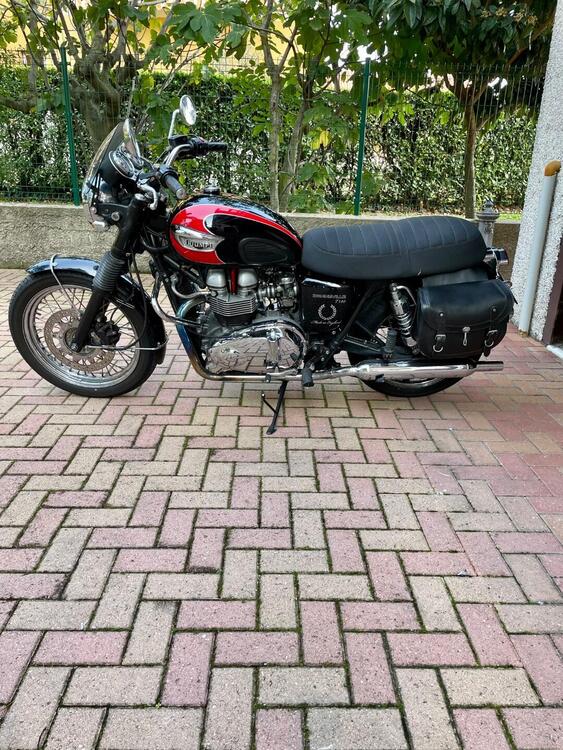 Triumph Bonneville T100 (2001 - 07) (3)