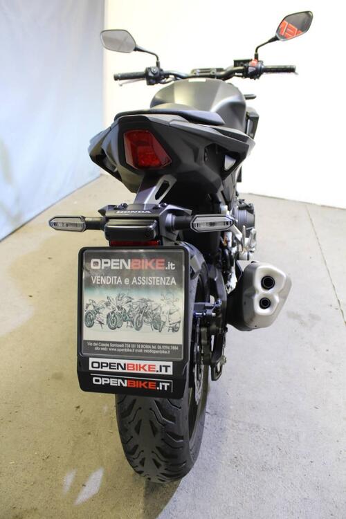 Honda CB 500 Hornet (2024 - 25) (5)