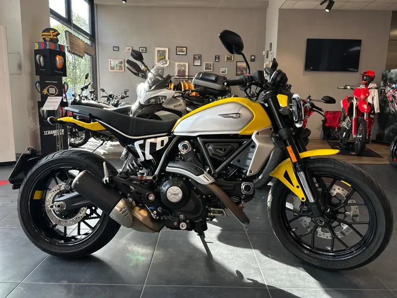 Ducati Scrambler 800 Icon (2023 - 24) (8)