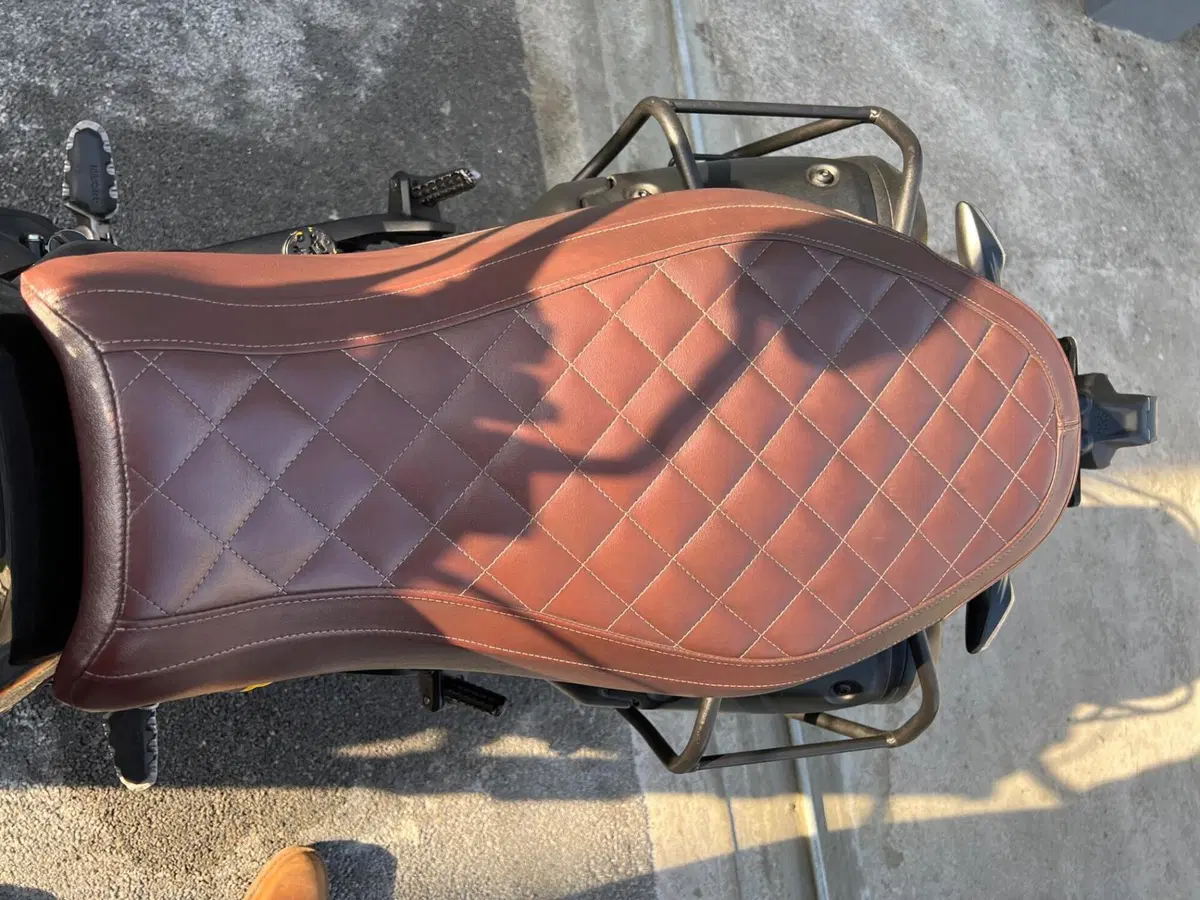 Ducati Scrambler 1100 (2018 - 20) (7)