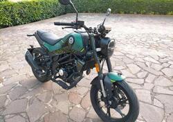 Benelli Leoncino 125 (2022 - 25) usata