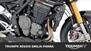 Triumph Speed Triple 1200 RS (2025) (18)