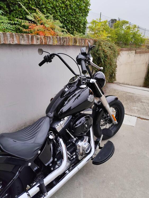 Harley-Davidson 1690 Slim (2011 - 16) - FLS (5)