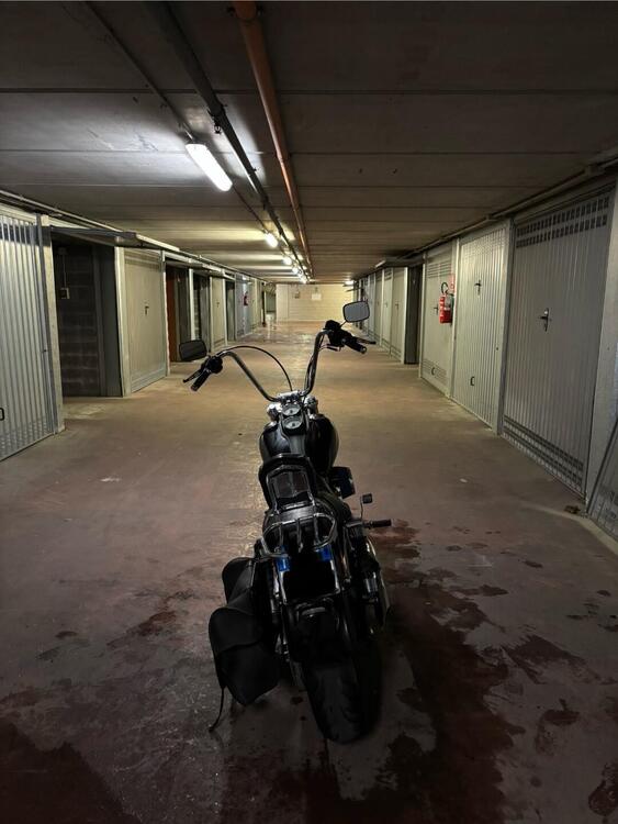 Harley-Davidson 1690 Low Rider (2014 - 17) - FXDL (4)