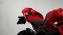Ducati Panigale V4 S (2022 - 24) (18)