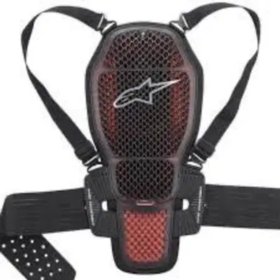 Para schiena alpinestars