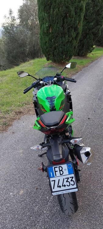 Kawasaki Ninja 400 (2023) (3)