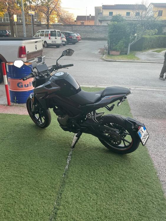 CFMOTO 300NK (2021 - 25) (3)