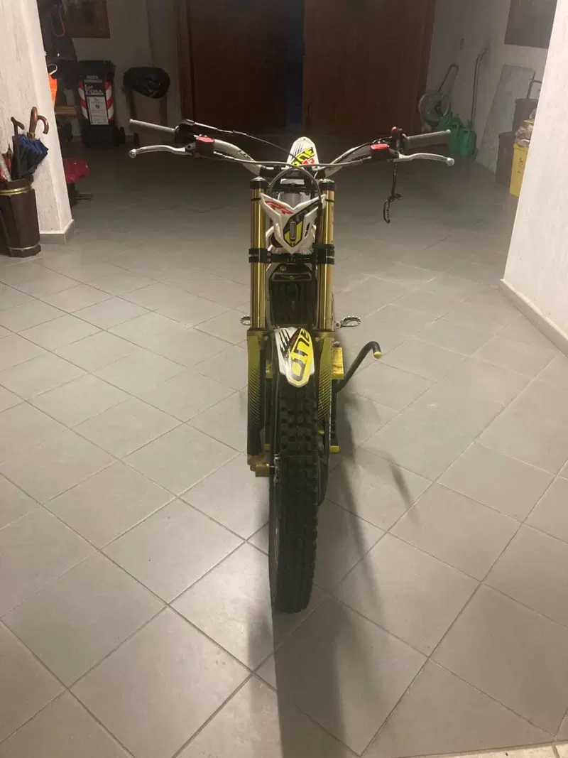 TRS Motorcycles One 250 (2016 - 17) (2)