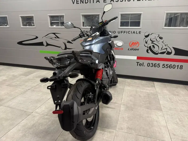 Cyclone RX650 (2025 - 26) (7)