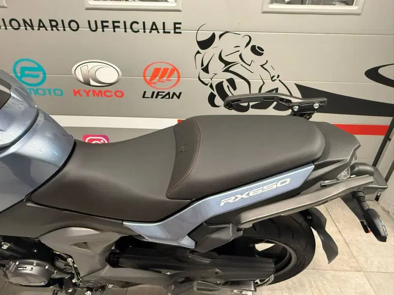 Cyclone RX650 (2025 - 26) (12)