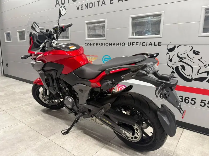 Cyclone RX650 (2025 - 26) (4)