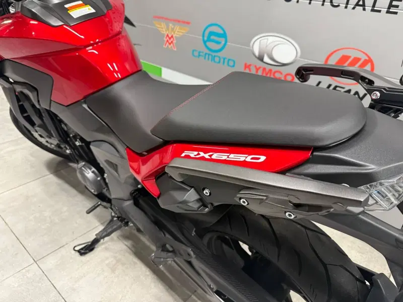 Cyclone RX650 (2025 - 26) (12)