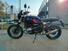 Bmw R nineT Urban GS (2021 - 24) (6)