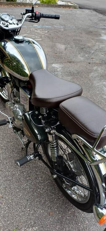 Royal Enfield Bullet 500 EFI STD - Entry Level (2017 - 20) (4)