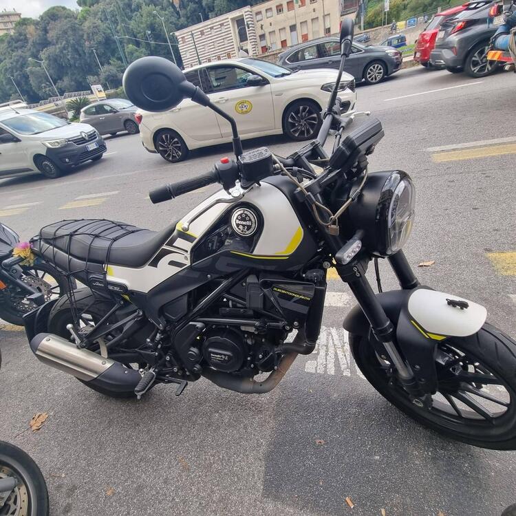 Benelli Leoncino 250 (2021 - 25) (2)