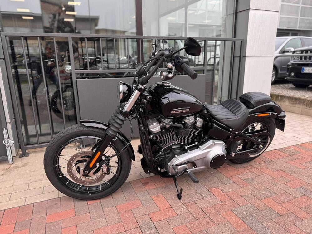 Harley-Davidson Street Bob 117 (2025) (2)