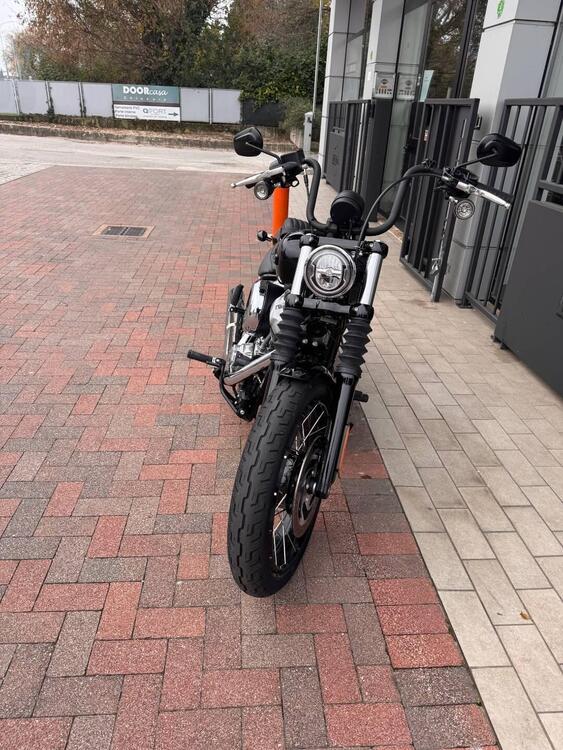 Harley-Davidson Street Bob 117 (2025) (3)