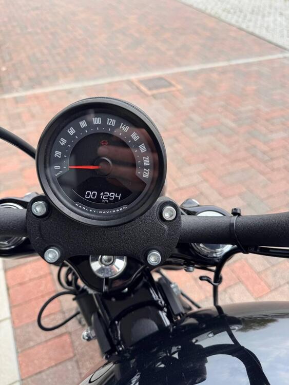 Harley-Davidson Street Bob 117 (2025) (4)