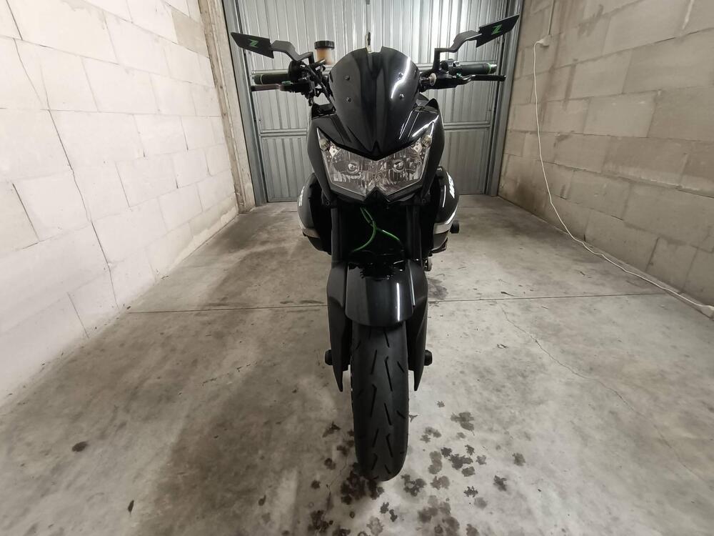 Kawasaki Z 1000 (2007 - 09) (2)