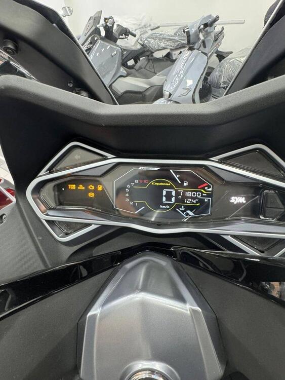 Sym Cruisym 300 (2021 - 24) (3)