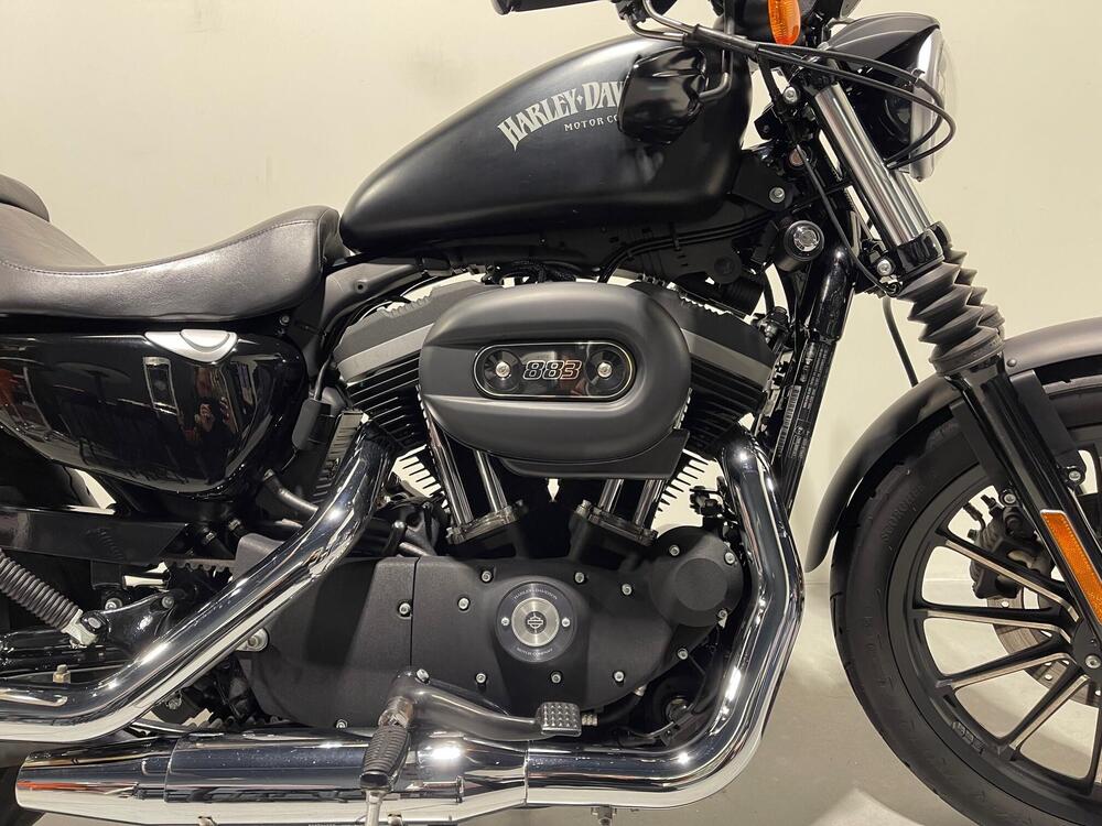 Harley-Davidson 883 Iron (2012 - 14) - XL 883N (4)