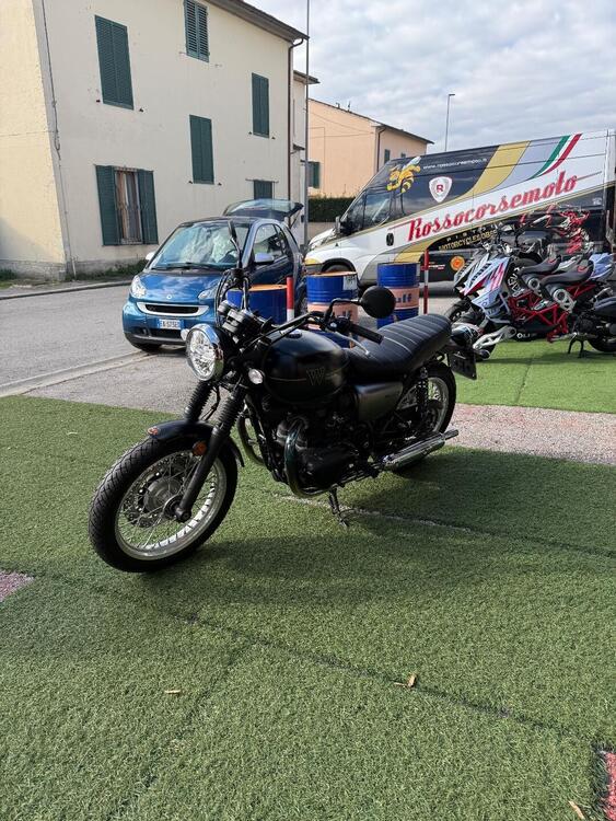 Kawasaki W 800 (2020) (5)