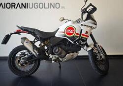 Ducati DesertX (2022 - 25) usata