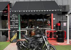 Benelli 502 C (2021 - 25) usata