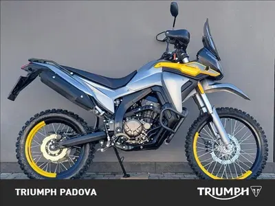 Voge Valico 300 Rally (2022 - 26) usata