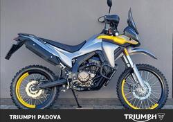 Voge Valico 300 Rally (2022 - 25) usata