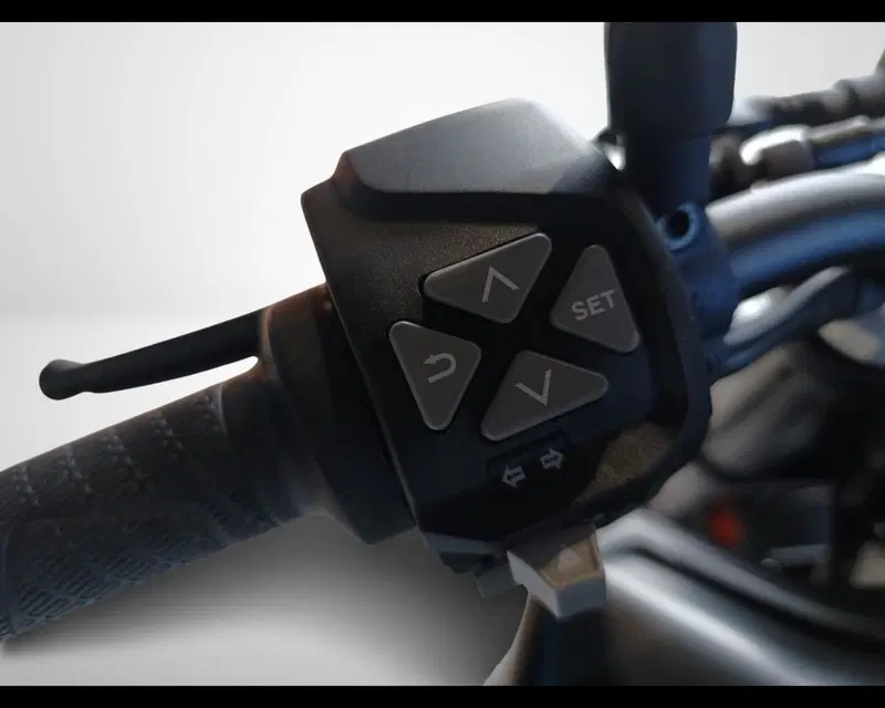 KTM 790 Duke (2018 - 20) (10)